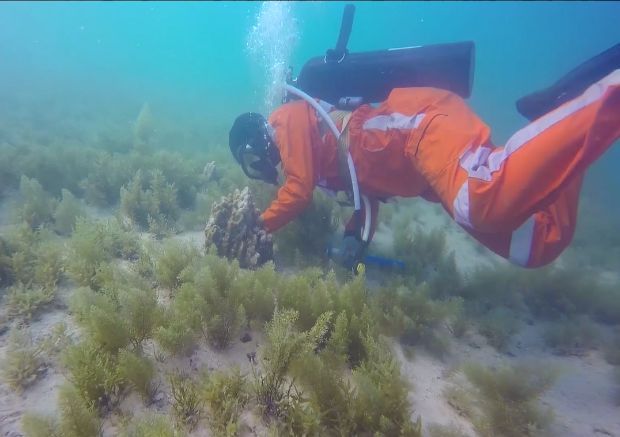 开元游戏大厅app·(中国集团)官方网站