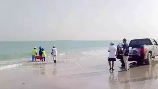 开元游戏大厅app·(中国集团)官方网站