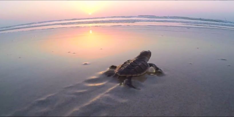 开元游戏大厅app·(中国集团)官方网站