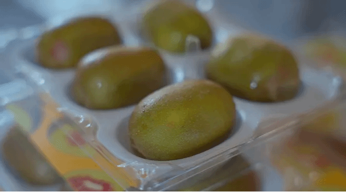 开元游戏大厅app·(中国集团)官方网站