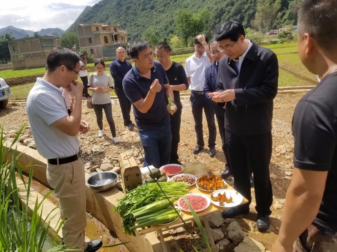 开元游戏大厅app·(中国集团)官方网站