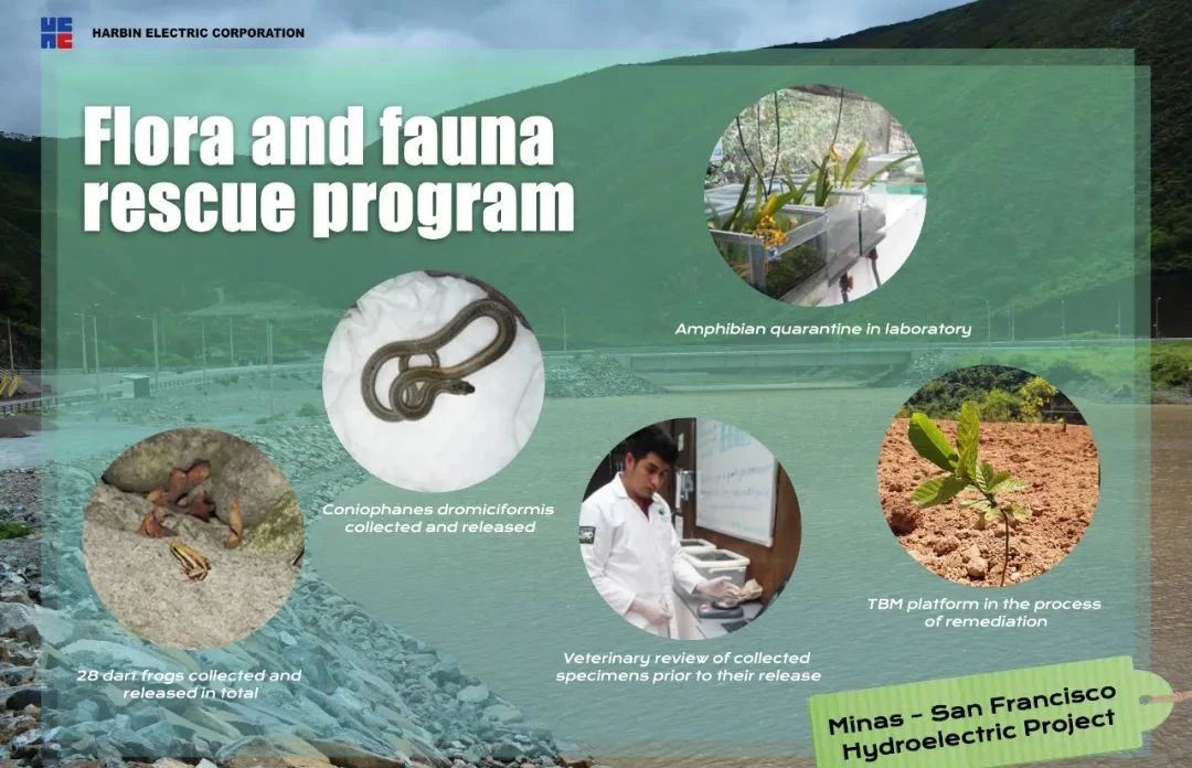 开元游戏大厅app·(中国集团)官方网站