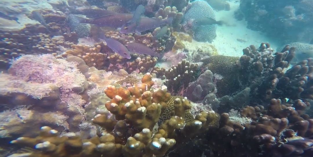 开元游戏大厅app·(中国集团)官方网站