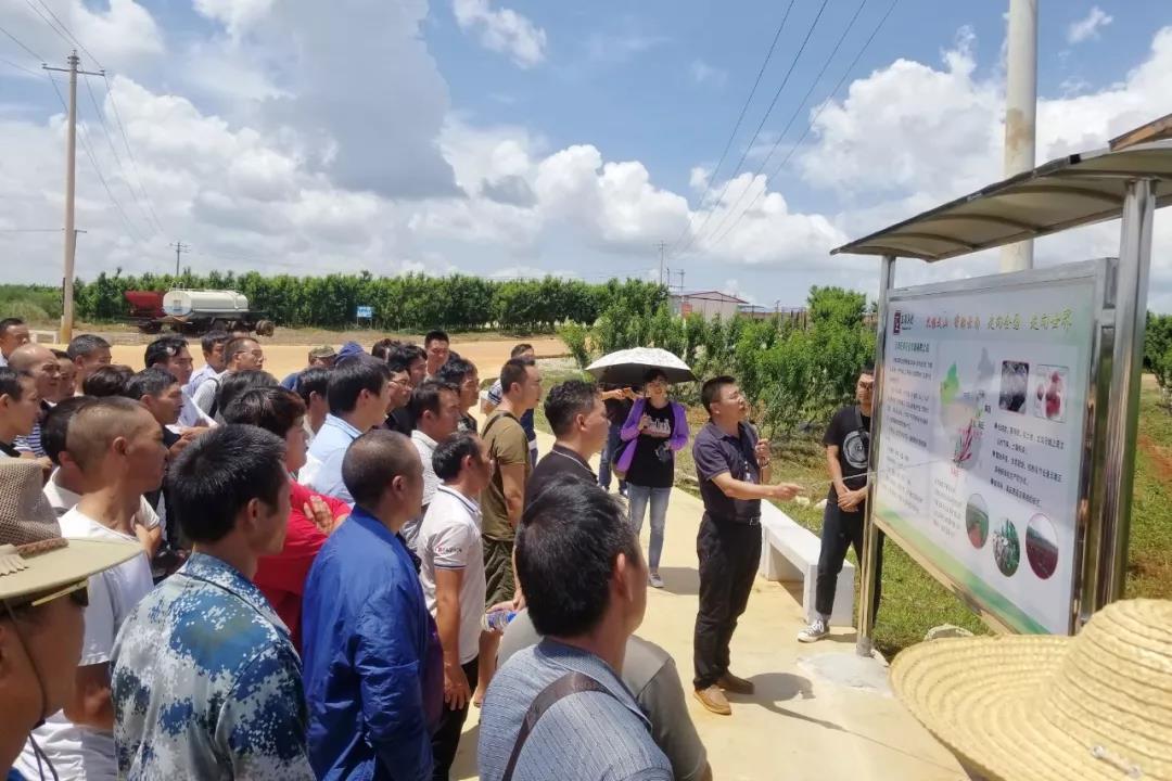 开元游戏大厅app·(中国集团)官方网站