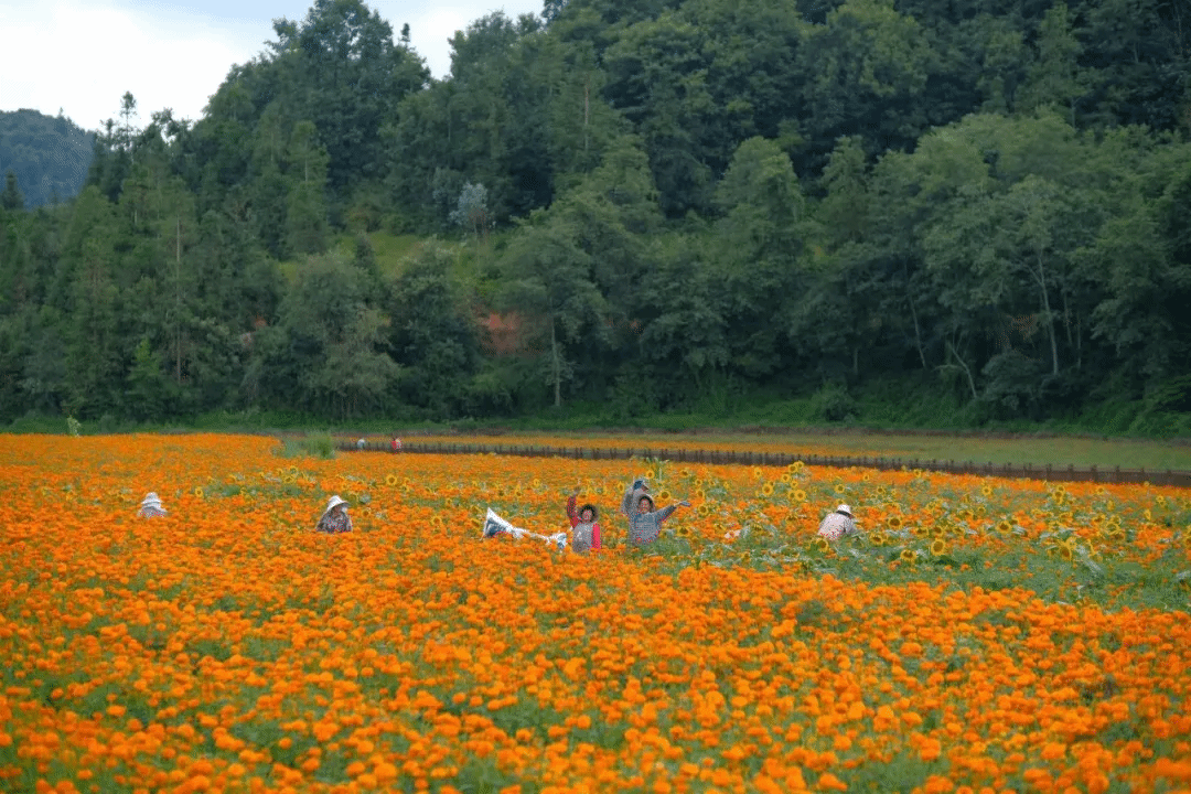 开元游戏大厅app·(中国集团)官方网站