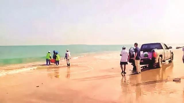 开元游戏大厅app·(中国集团)官方网站